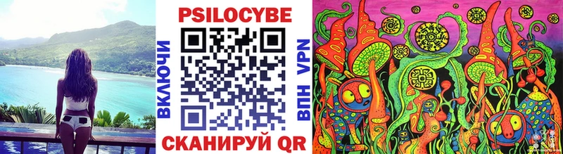 Галлюциногенные грибы Psilocybine cubensis  где найти   Тосно 